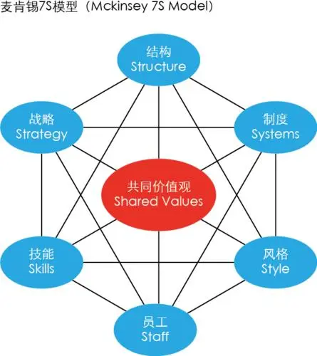 7S模型，协助分析复杂原因